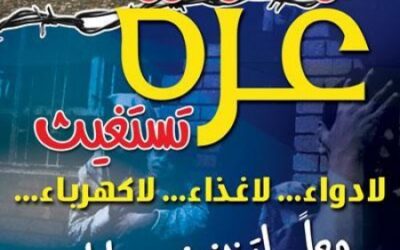حملة مناصرة دولية من منظمات ونشطاء والمدافعين عن حقوق الإنسان